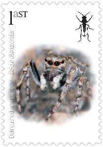 Stamp Spider