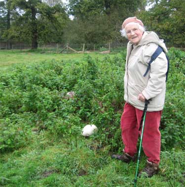 Puffballs On Your Lawn - Dave's Garden