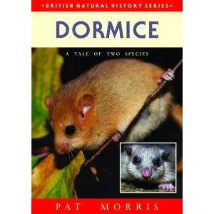 Dormice, by Pat Morris