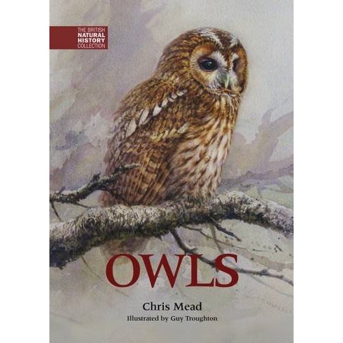 ' Owls' by Chris Mead