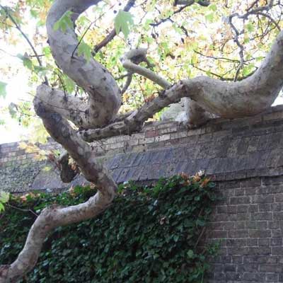 Emmanuel college wall damage