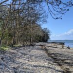 Beach near Ryde