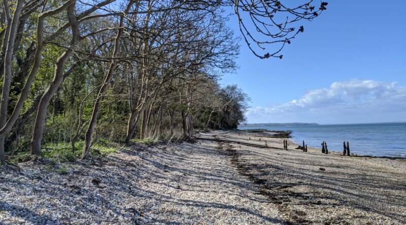 Beach near Ryde