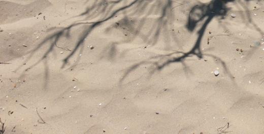 Sand at Osborne bay