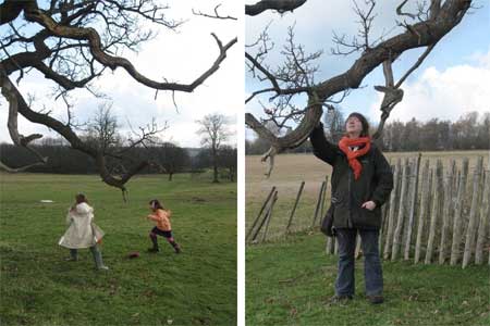 The Wildlife Gardener, her daughters, and the Sidney Oak