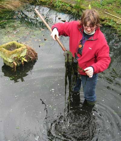 The Wildlife Gardener gets down and dirty