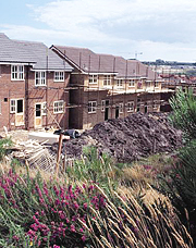 Building on a heathland