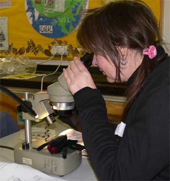 Cat tries to identify an unusual specimen