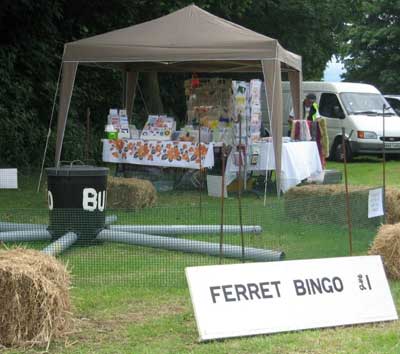 Ferret Bingo