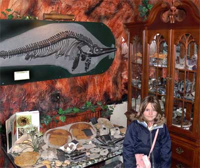 Fossil shop, Genesis Expo