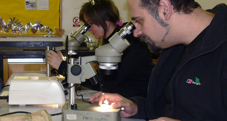 Cat James and Matthew CCat James and Matthew Chatfield scrutinising fliesHatfield scrutinising flies