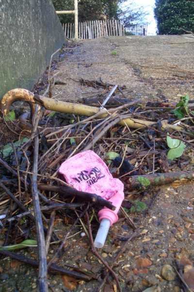 Balloon washed up on River Medina