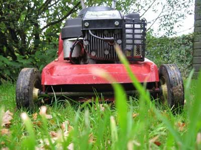 Mower: toad view