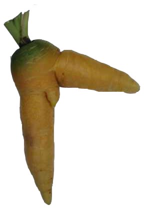 The Nureyev carrot