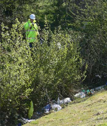 Clearing windblown plastic bags at the landfill site