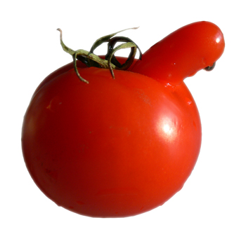 Rude tomato