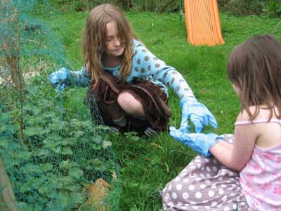 Picking nettles