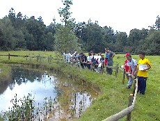 A fenced-off pond in a country park