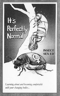 Insect Sex Ed