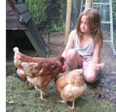 Sophia and hens