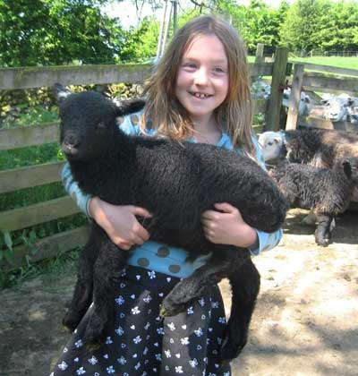 Sophia and a lamb