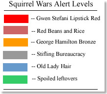 Squirrel alerts