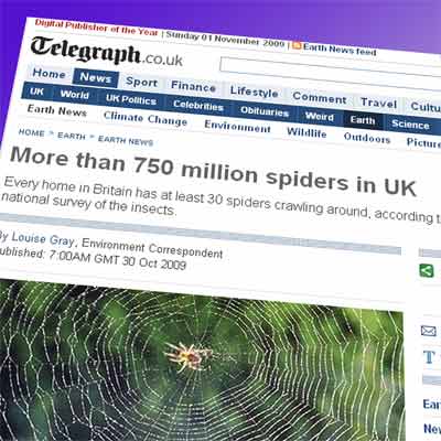 Spiders in the Telegraph