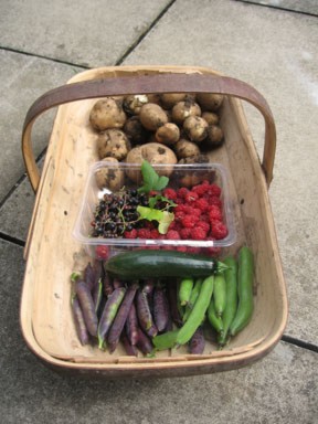 Trug of produce