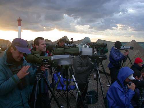 Twitchers at Calais (c) Garrulus