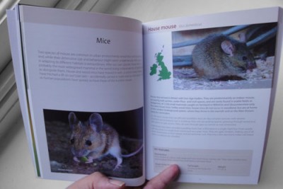 Urban Mammals, a concise guide (PTES)