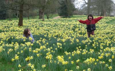 Petworth House