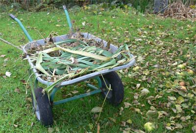 Wheelbarrow in the wildlife garden