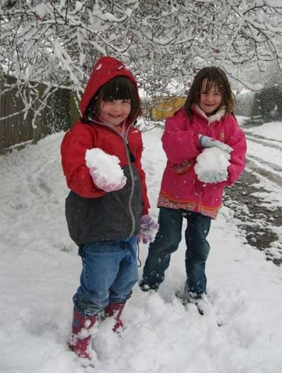 Snowy wildlife garden