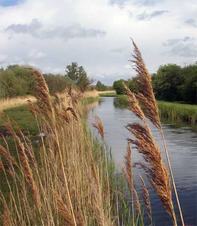 Wicken Fen National Nature Reserve (c) Cat James