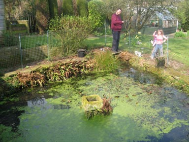 The Wildlife Pond